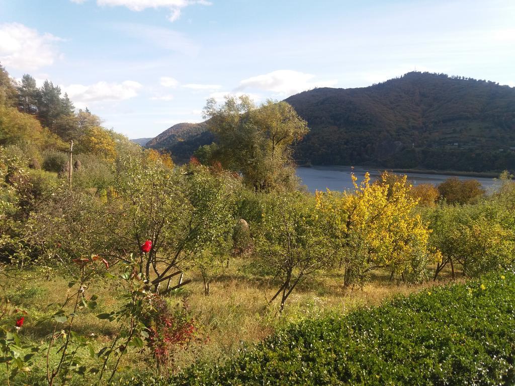 Casa Irina Villa Piatra Neamţ Exteriör bild